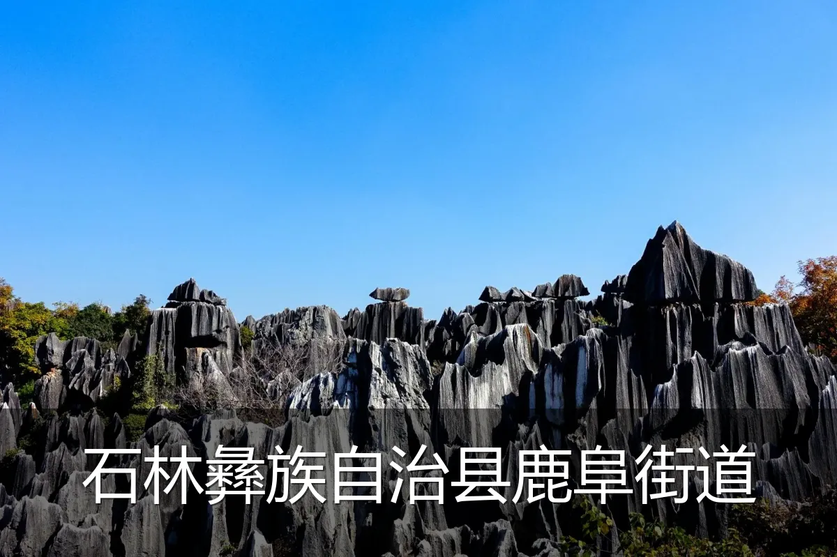 石林彝族自治县鹿阜街道